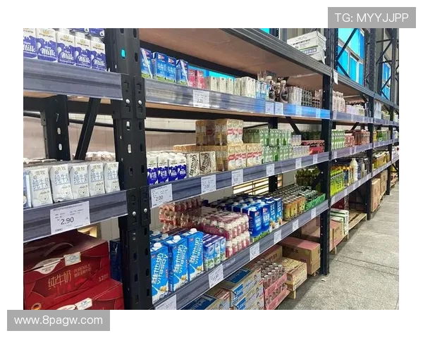 白菜网平台：探索最优质的购物体验与优惠活动